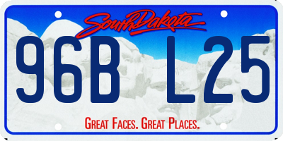 SD license plate 96BL25