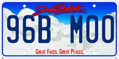 SD license plate 96BM00