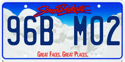 SD license plate 96BM02