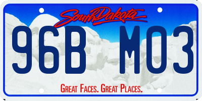 SD license plate 96BM03