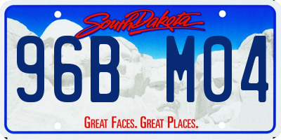 SD license plate 96BM04