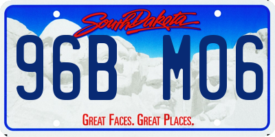 SD license plate 96BM06