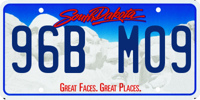 SD license plate 96BM09