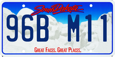 SD license plate 96BM11