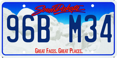 SD license plate 96BM34