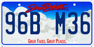 SD license plate 96BM36