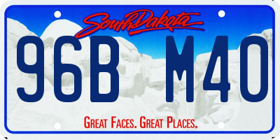 SD license plate 96BM40
