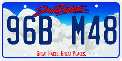 SD license plate 96BM48