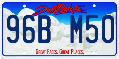 SD license plate 96BM50