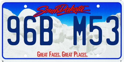 SD license plate 96BM53