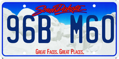SD license plate 96BM60