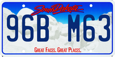 SD license plate 96BM63
