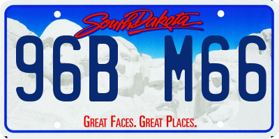 SD license plate 96BM66