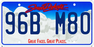 SD license plate 96BM80