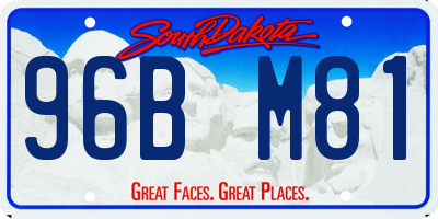 SD license plate 96BM81