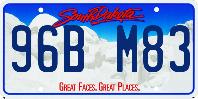 SD license plate 96BM83