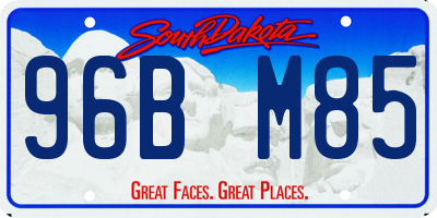 SD license plate 96BM85