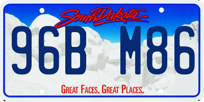 SD license plate 96BM86