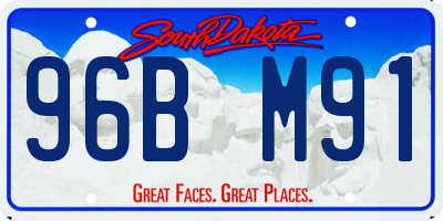 SD license plate 96BM91