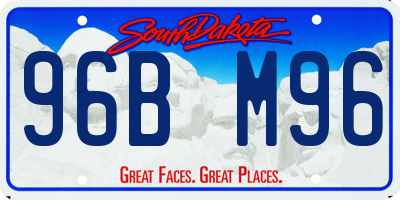 SD license plate 96BM96