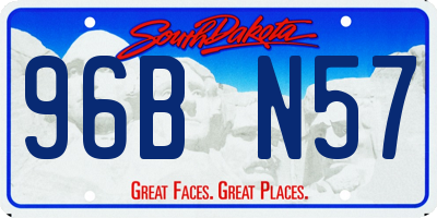 SD license plate 96BN57