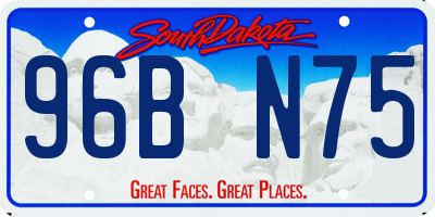 SD license plate 96BN75