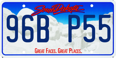 SD license plate 96BP55