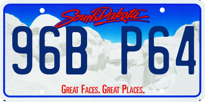 SD license plate 96BP64