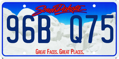 SD license plate 96BQ75