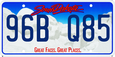SD license plate 96BQ85