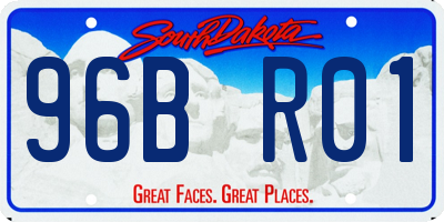 SD license plate 96BR01