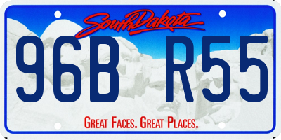 SD license plate 96BR55