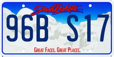 SD license plate 96BS17