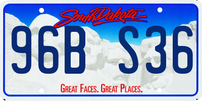 SD license plate 96BS36