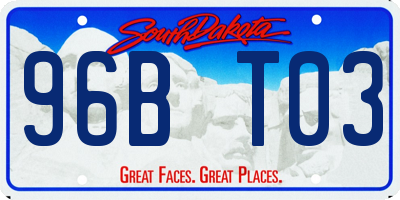 SD license plate 96BT03