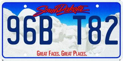 SD license plate 96BT82