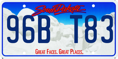 SD license plate 96BT83