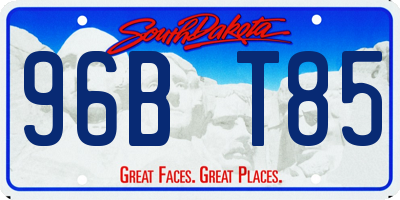 SD license plate 96BT85
