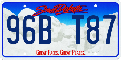SD license plate 96BT87