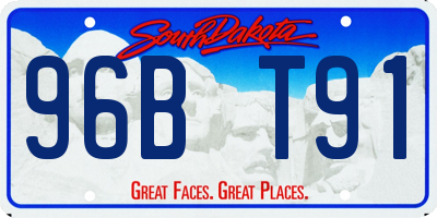 SD license plate 96BT91