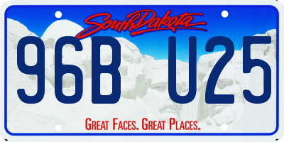 SD license plate 96BU25