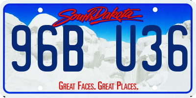 SD license plate 96BU36