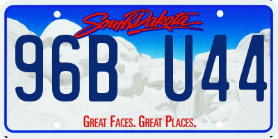 SD license plate 96BU44