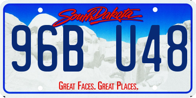 SD license plate 96BU48