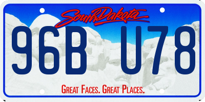 SD license plate 96BU78