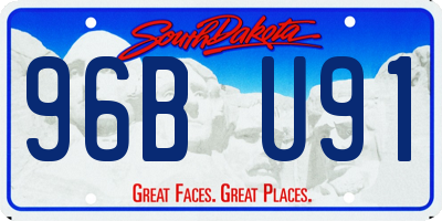 SD license plate 96BU91