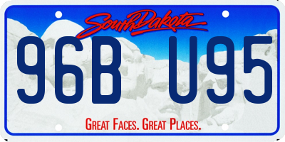 SD license plate 96BU95