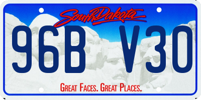 SD license plate 96BV30