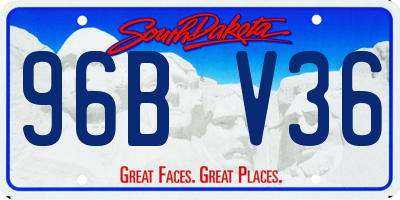 SD license plate 96BV36
