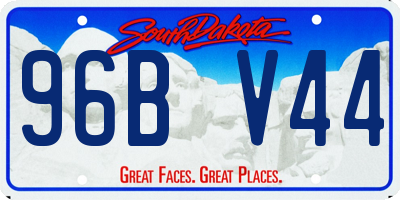 SD license plate 96BV44